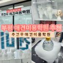 인천/부평 추건우애견미용학원*애견미용사 국비과정 3급 자격증