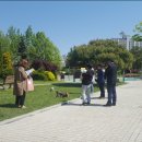 평택-안중-안중-11 이미지