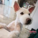 테리몽하우스 이미지