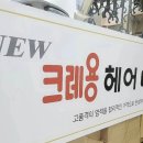 뉴크레용헤어 이미지