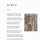 운수좋은날
