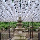 신흥사 구 대웅전 단청반자 이미지