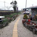 곽지하우스 민박 이미지