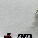 숙이칼국수