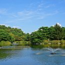 분당중앙공원 이미지