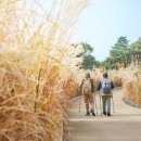 100세 시대, 꾸준히 행복할 수 있는 비결 이미지