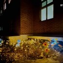 광명노인요양원 이미지