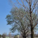 노봉혼불문학마을 이미지