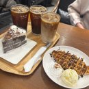 나무들의 수다 | 신촌 오래 수다 떨기 좋은 카페, 카페 나무 방문 후기(+크로플,블랙 포레스트 케이크)