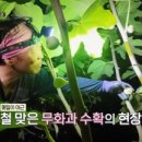 손씨농장 이미지