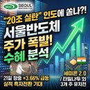 (주)아이티엠반도체(2공장) | "20조 실탄 풀린 인도 공장" 서울반도체 주가 전망과 세미콘 2.0 수혜 분석