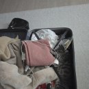 평화로(배무기버스정류장) | 아진짜일하기싫다고요 (삿포로편)