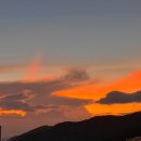 (주)아성다이소 평택세교점 | 9월 일상 3