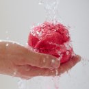 베스트웨스턴 제주호텔 이미지