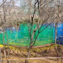 사화근린공원 이미지