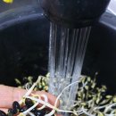 김제광활간척지쌀 이미지