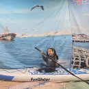 🧡도시어부 체험🧡 이미지