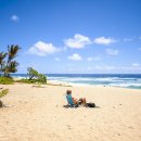 샌드비치 이미지