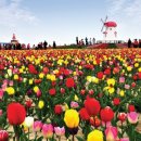 신안한방병원 이미지