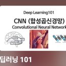 AI를 활용한 고양이 구하기 | 딥러닝 101 - 무료 강의 전체 소개 | Deep Learning 101