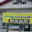 낙타 | 제주도 이색체험 낙타트레킹/낙타타기 후기
