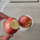 올리브스크린골프 | 7월 첫째주 일상┊잃는 것이 있으면 얻는 것도 있고.