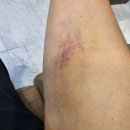 연세힐링재활의학과의원 이미지