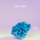 [ 시선으로부터 ] 후기