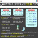 [또또일상]여의도 한강수영장 야간개장 후기_필수 준비물('24년 8월)
