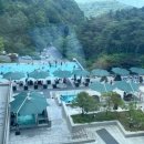 포레스트리솜 이미지