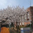 에이스 진 공인중개사사무소 이미지