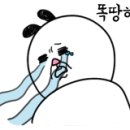 허*덕 이미지