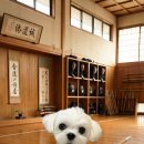 수완고등학교 이미지