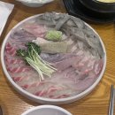 [대구 맛집] 대구 서구 횟집 : 평리동 팔딱팔딱회 솔직 후기
