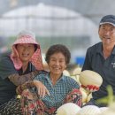 기순농장 이미지