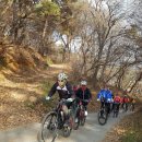 성안주유소 이미지