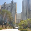 모아미래도에듀포레 이미지