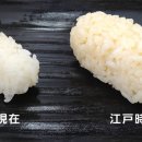 스시메시 이미지
