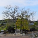 구림마을회관 이미지