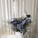 올로르플라워 Olor Flower 이미지