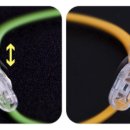 토마토안경 이미지