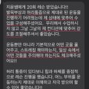 바디빚다 이미지