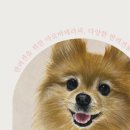 한국아로마테라피DIY강사협회