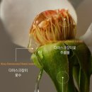 광채농장 이미지