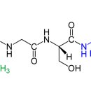 노일바이오 이미지