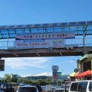 구리농수산물도매시장 수산동 이미지