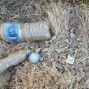 서울공진초등학교병설유치원 이미지