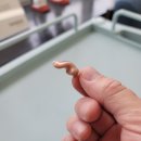 와이덱스보청기 의정부점 이미지