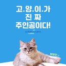 나만 없어 고양이 이미지