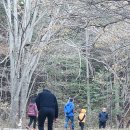 돌탑산장 이미지